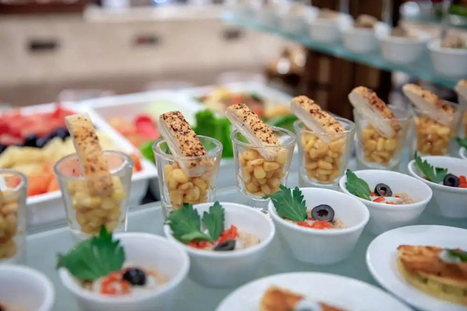 The Gaurs Sarovar Premiere