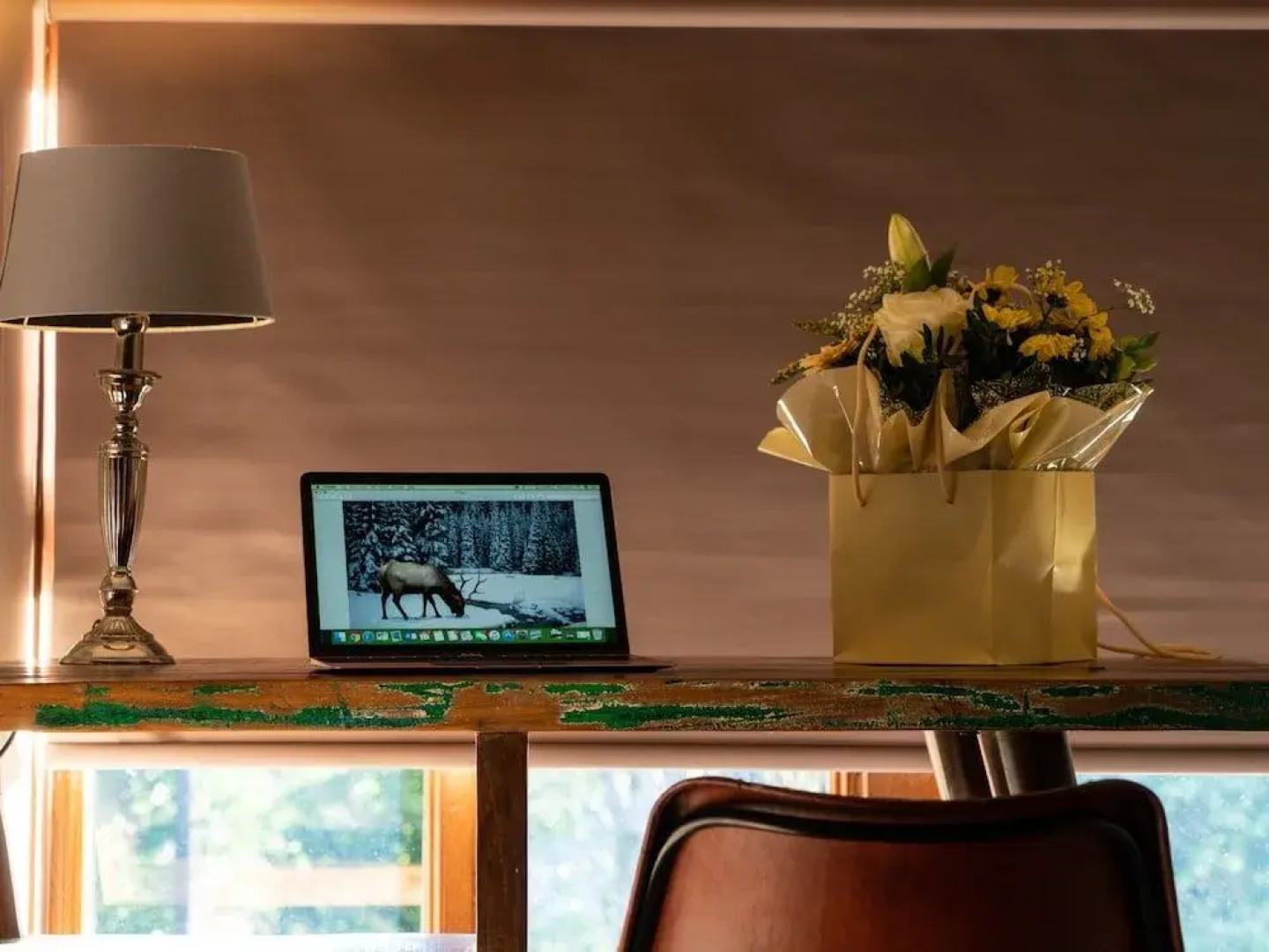 The Lion Pub & Grill