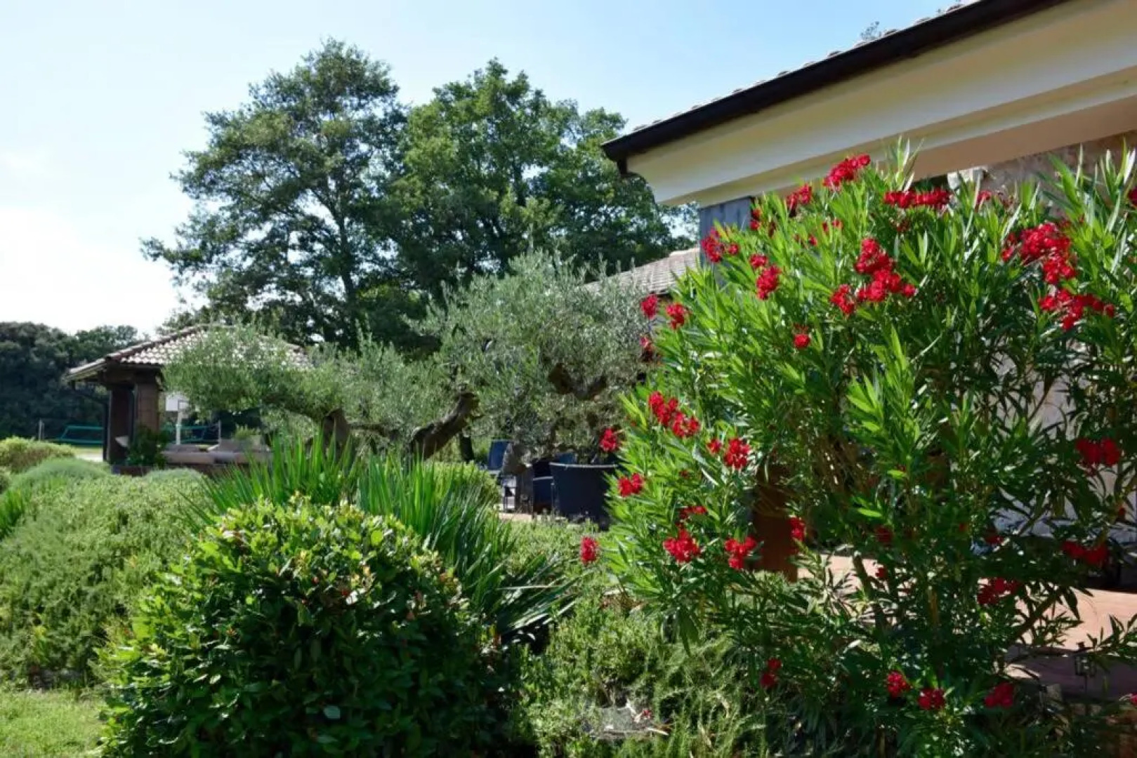 Villa Birds House Rovinj