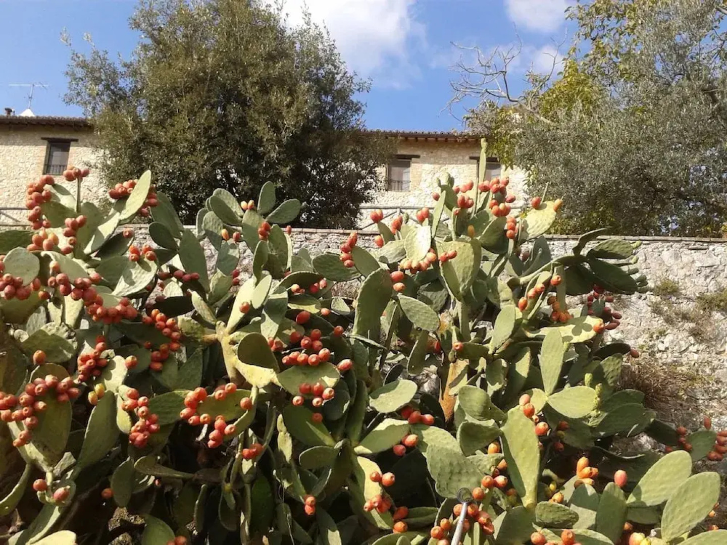 Agriturismo Residenza Paradiso