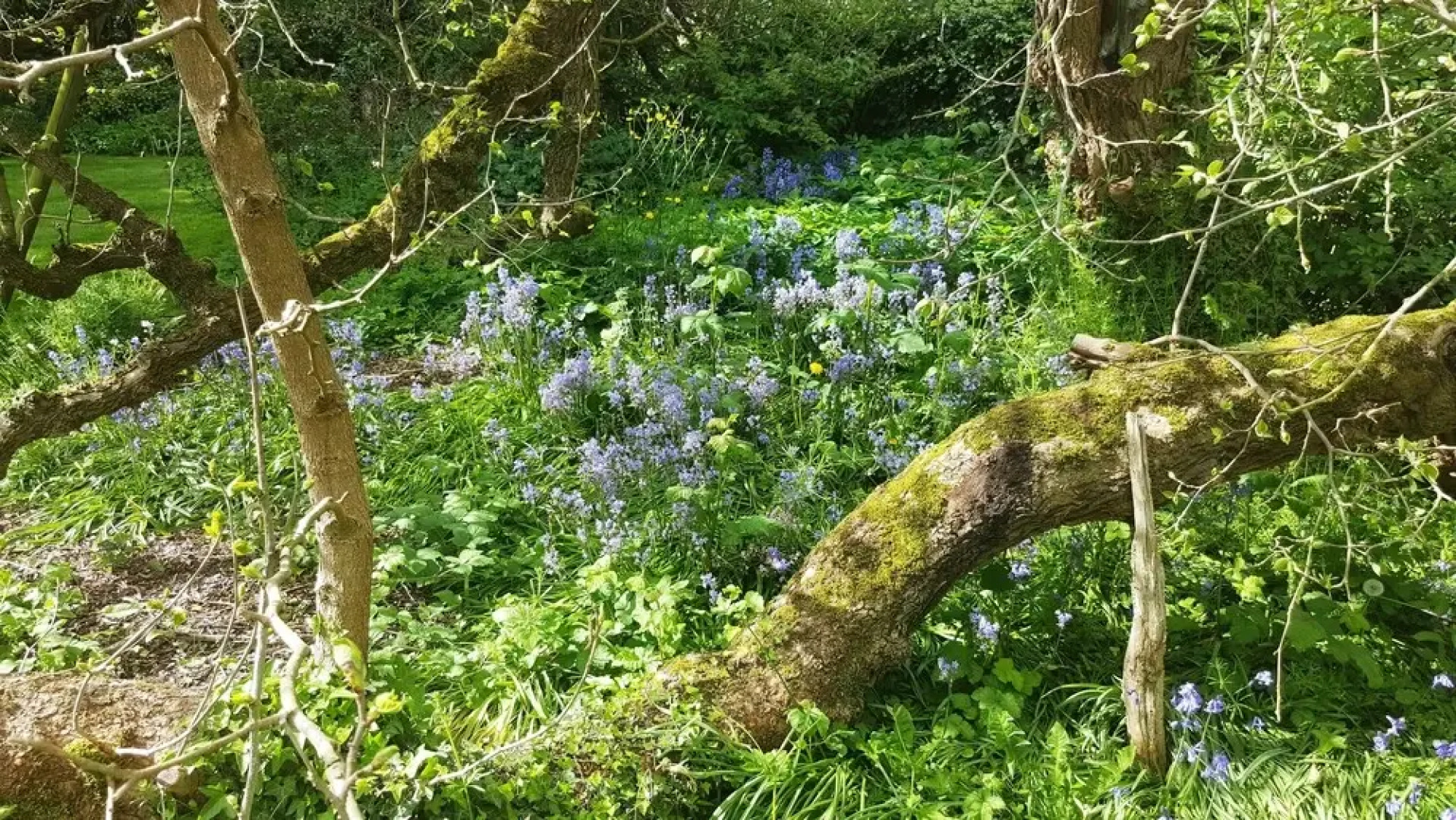 Wilton Court Restaurant with rooms