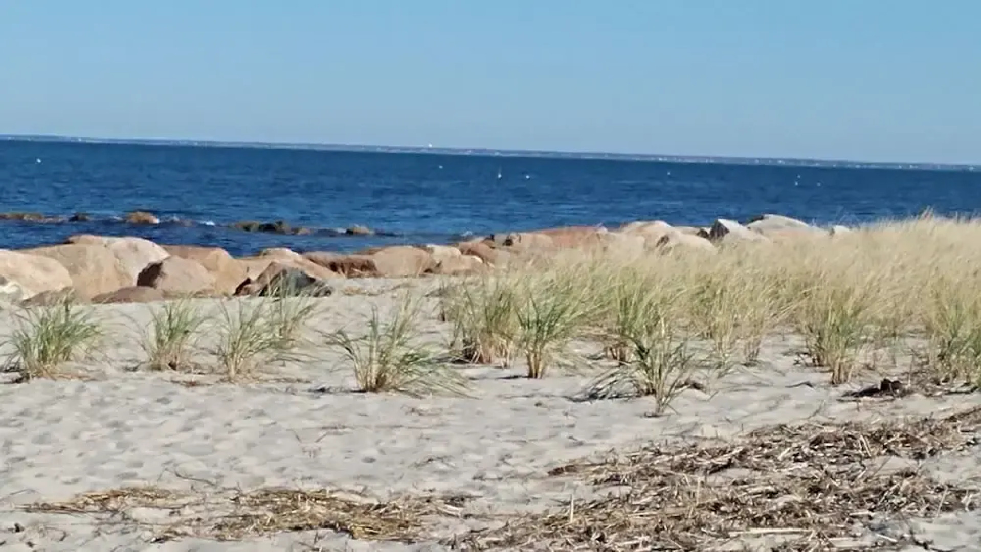 279 Alden - 3 Bedroom House