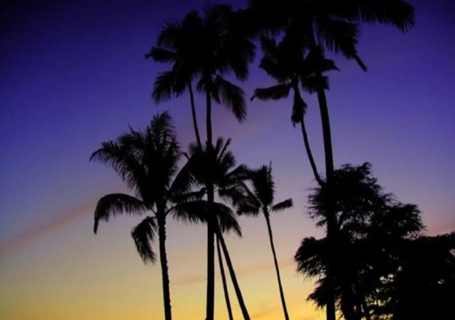 Hotel Mahaina Wellness Resorts Okinawa