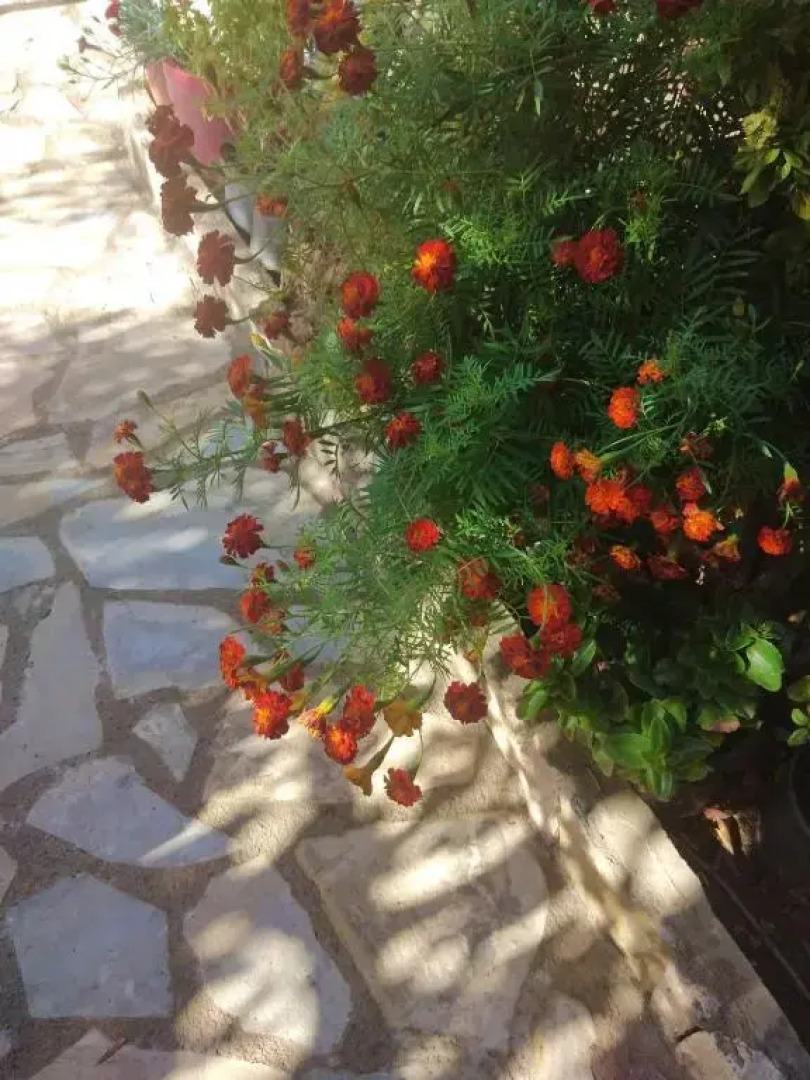 Private country house