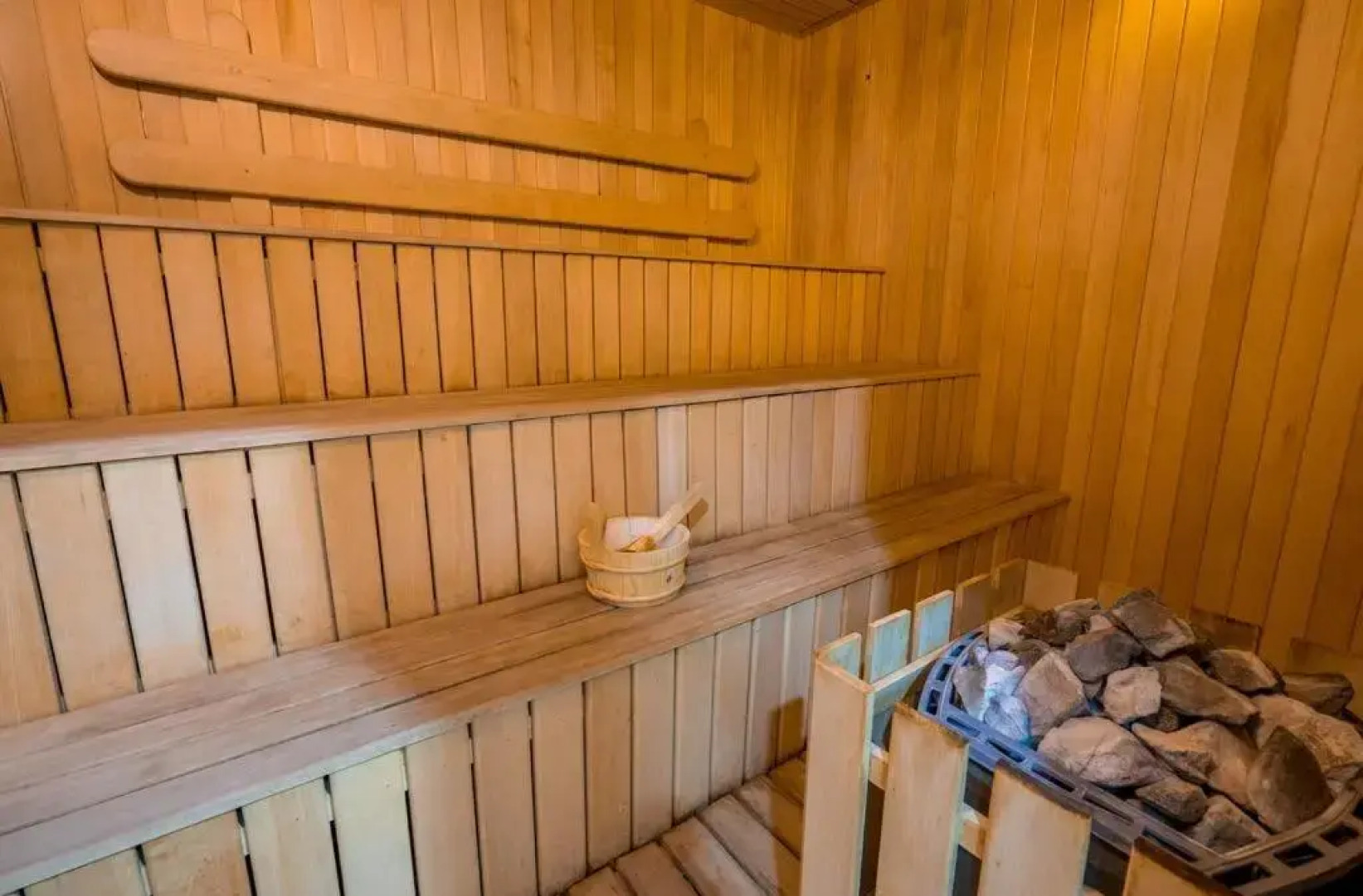 White Tiger in New Gudauri II