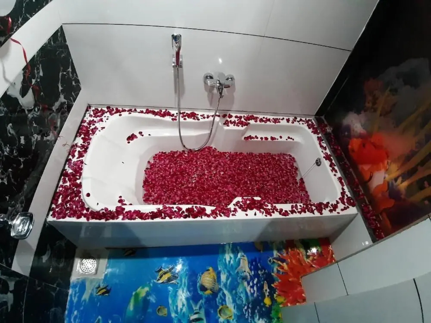 Hotel The Grand Piano