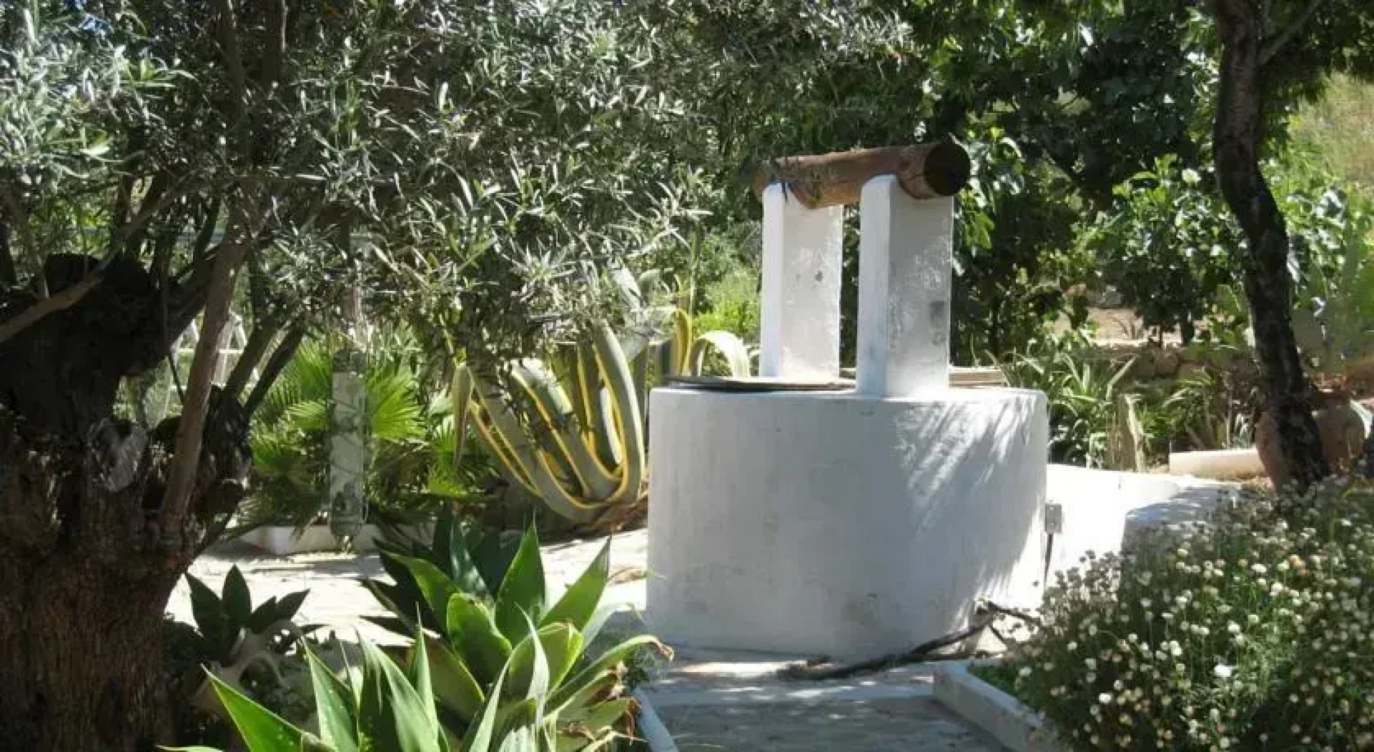 Cortijo Las Palmeras