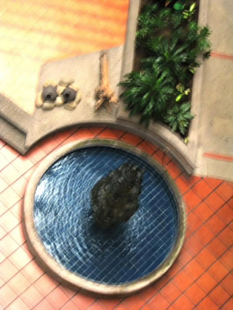 Hotel Reforma