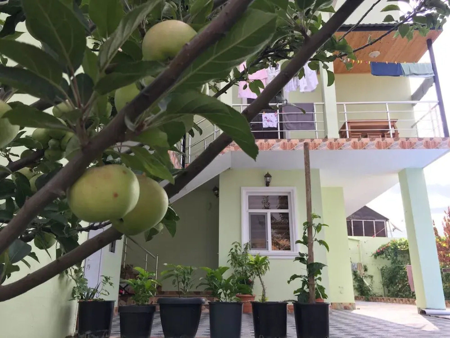 Отель Hasanovs Villa