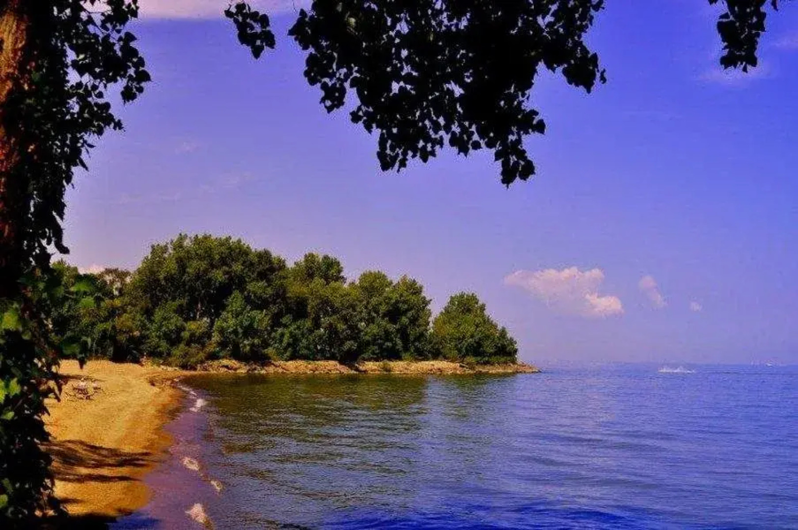 Sawmill Creek by Cedar Point Resorts