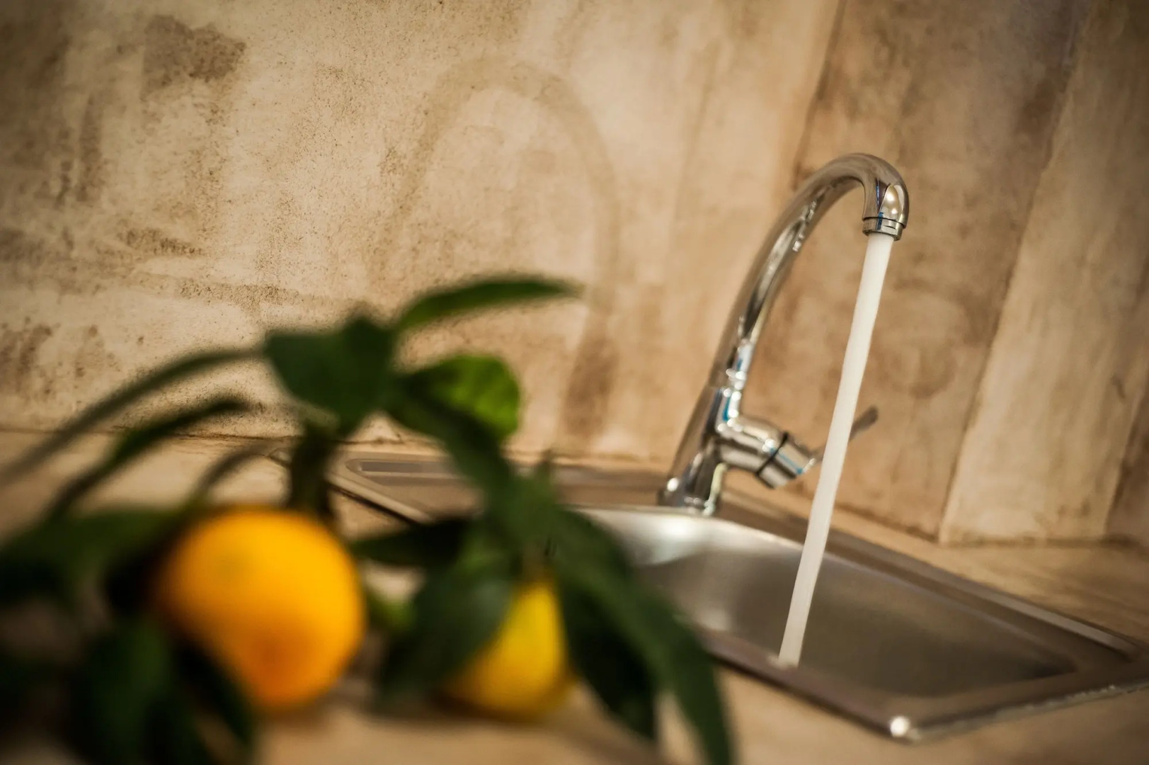 Zante Nest Studios & Apartments