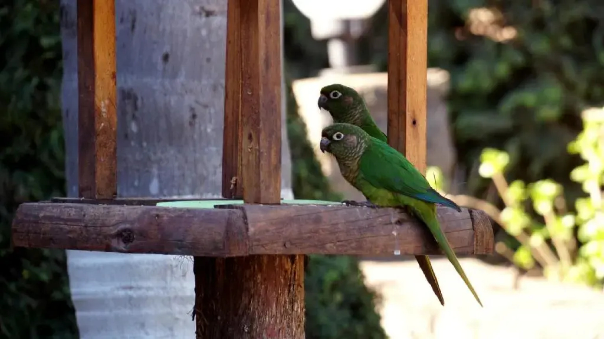 Pousada Valle Das Flores