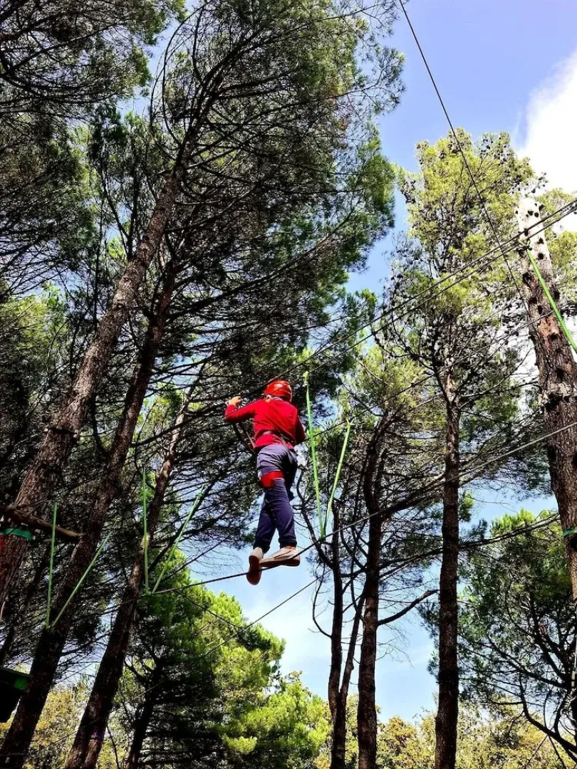 Etna Panoramic Villa With Swimming Pool