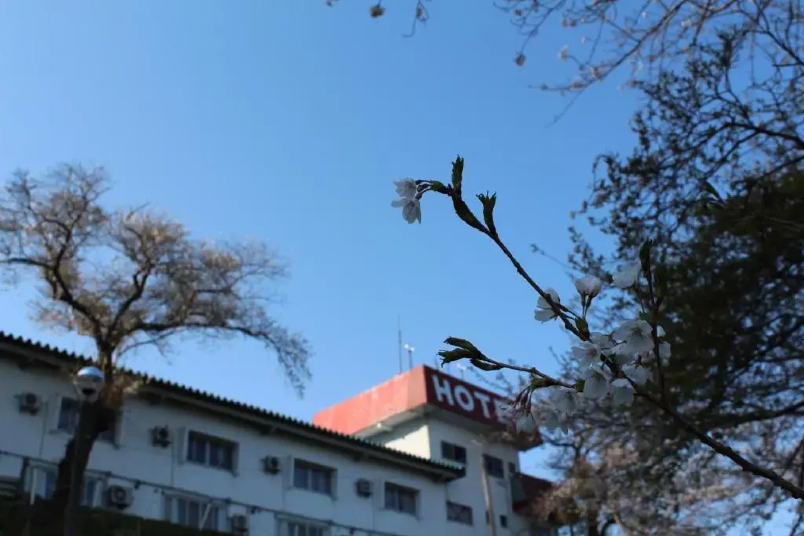 Hotel Le Mont (Adult Only)