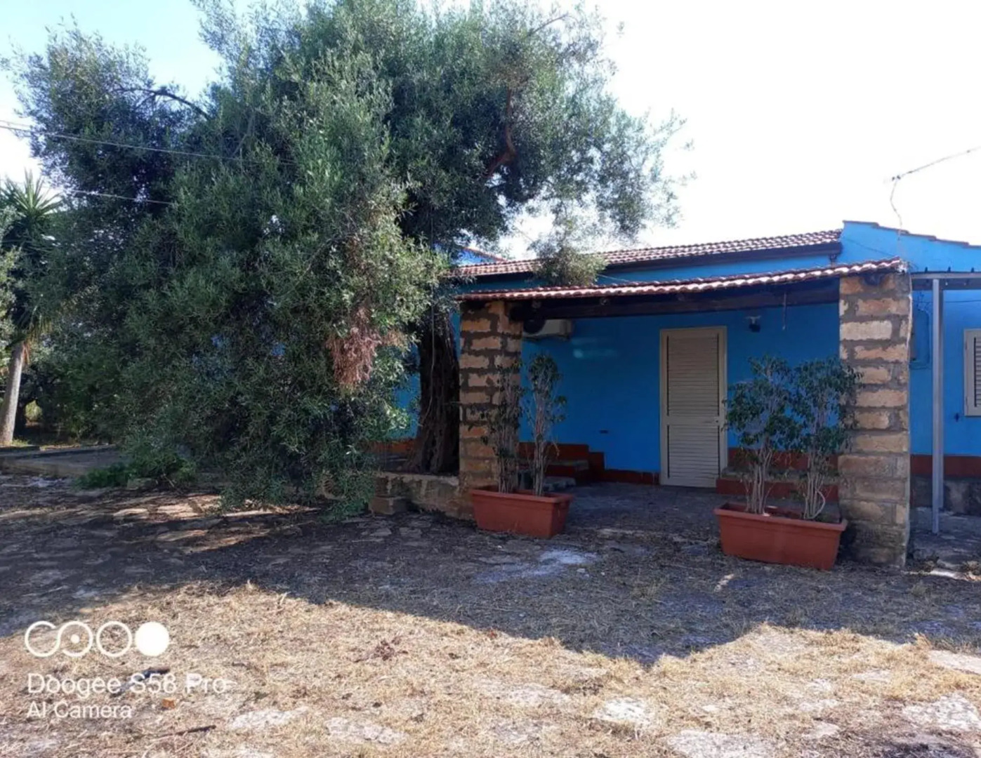 Case Vacanza Al Limoneto