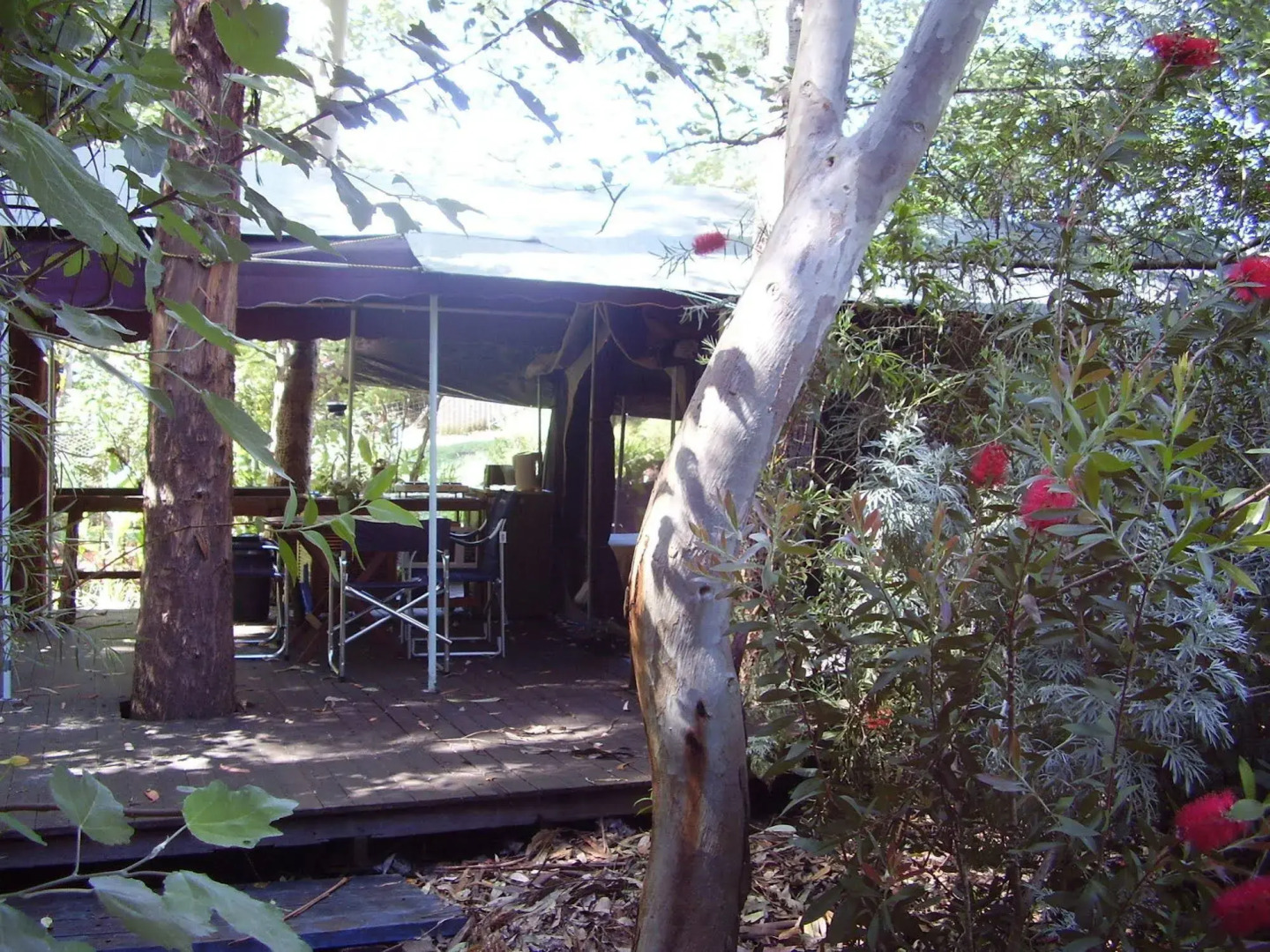 The Black Cockatoo Nannup