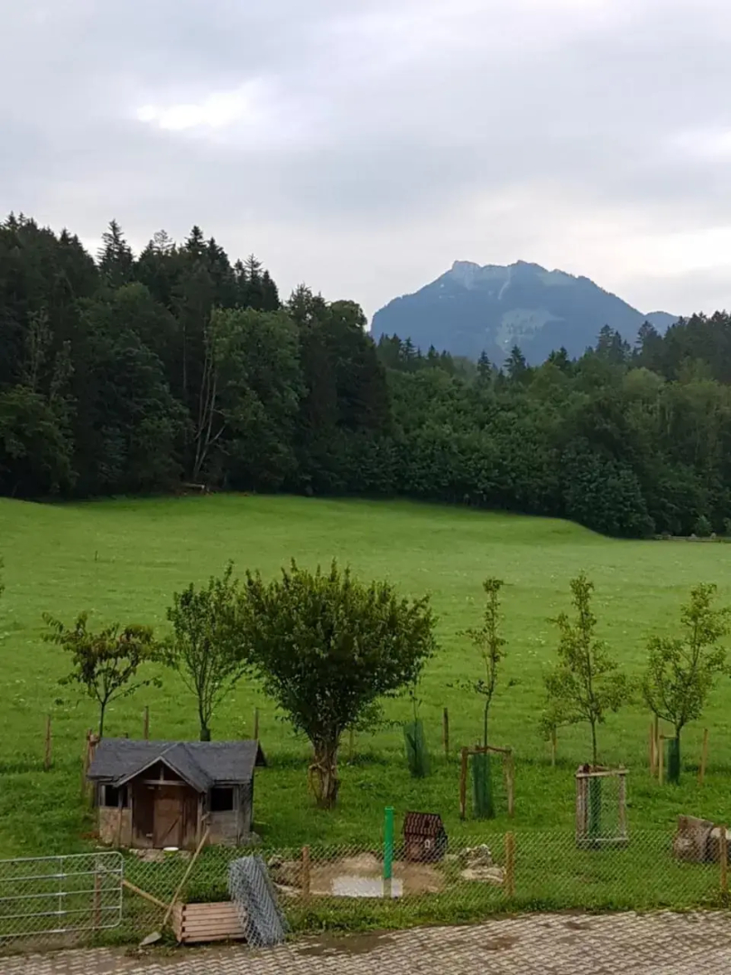 Beim Melchern