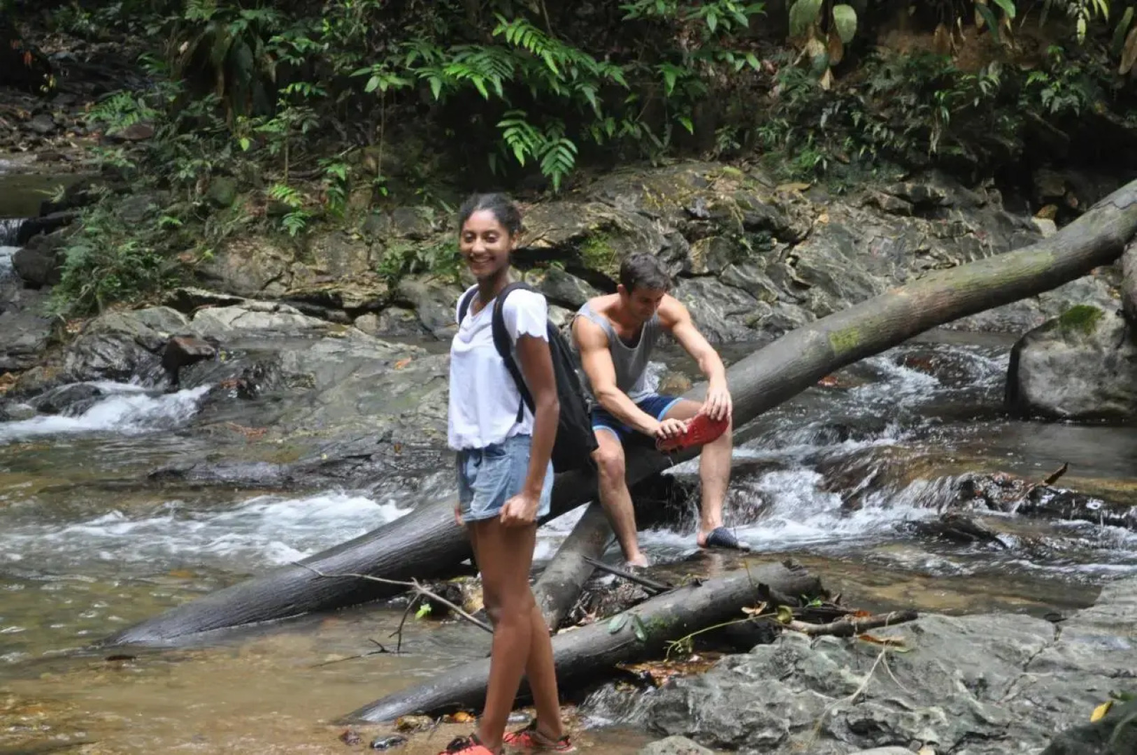 The Leatherback Lodge