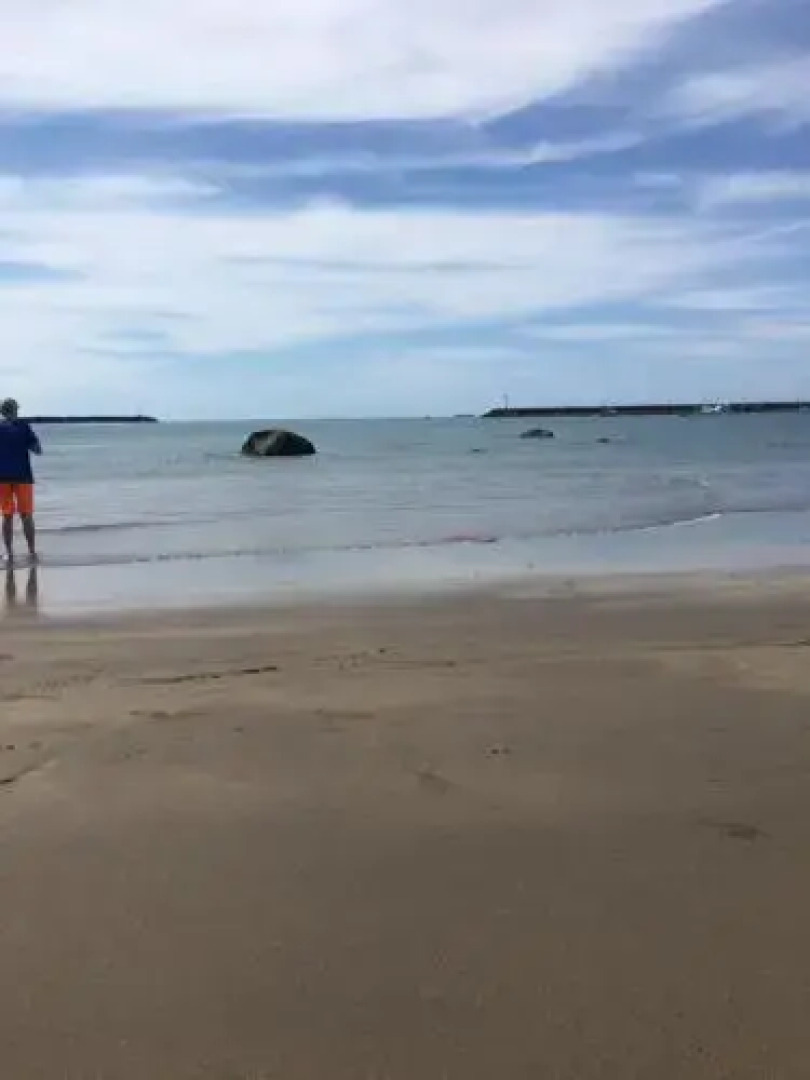 58 Pioneer - Retro Studio Unit