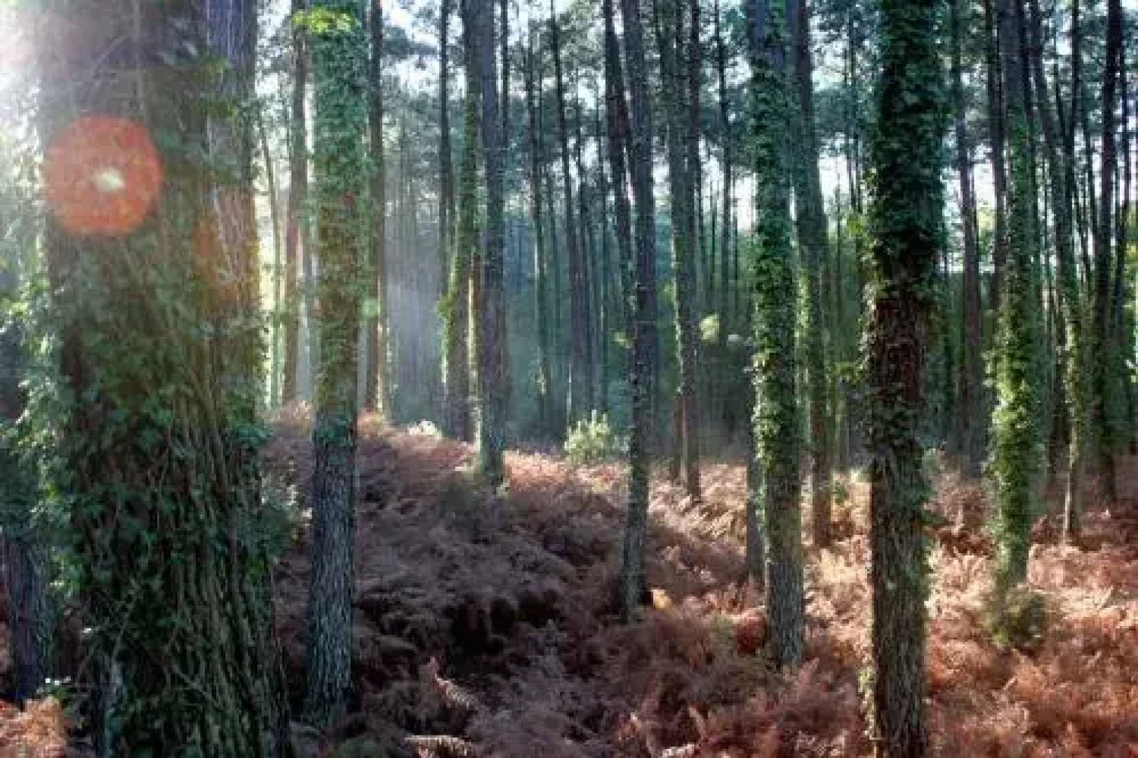 Villa de lEtang Blanc