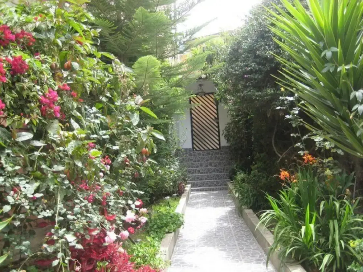 Hostal Alpes Huaraz