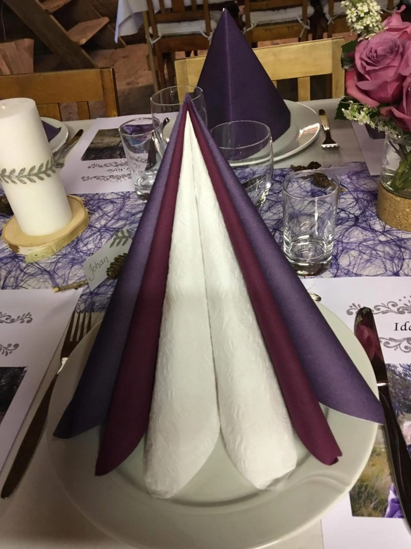 Skjeggestad Gjestehus