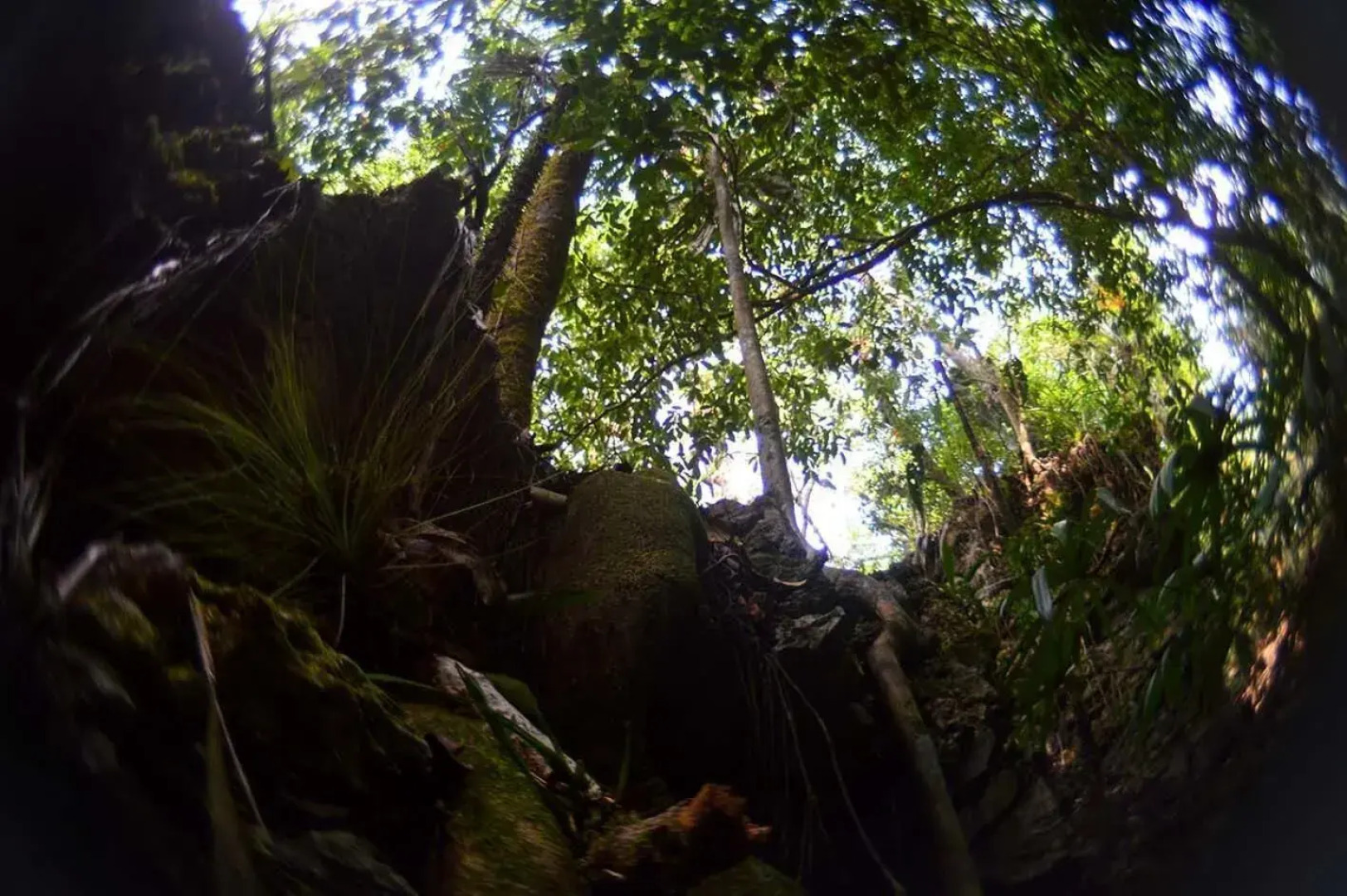 Ecolodge Las Nubes Chiapas