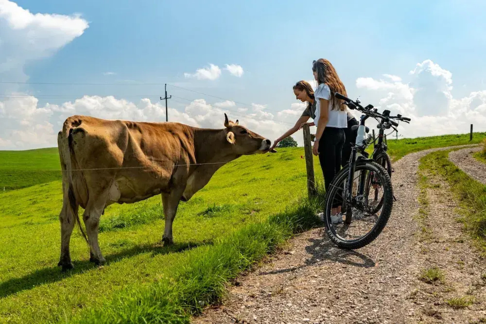 Das Weitblick Allgäu
