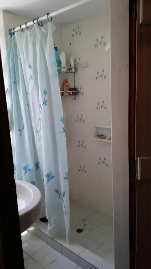 The large bougainvillea house