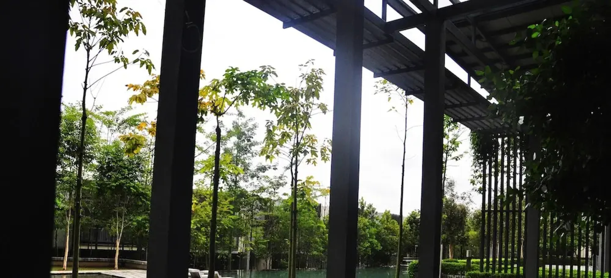 Pinebox Mirage by the Lake