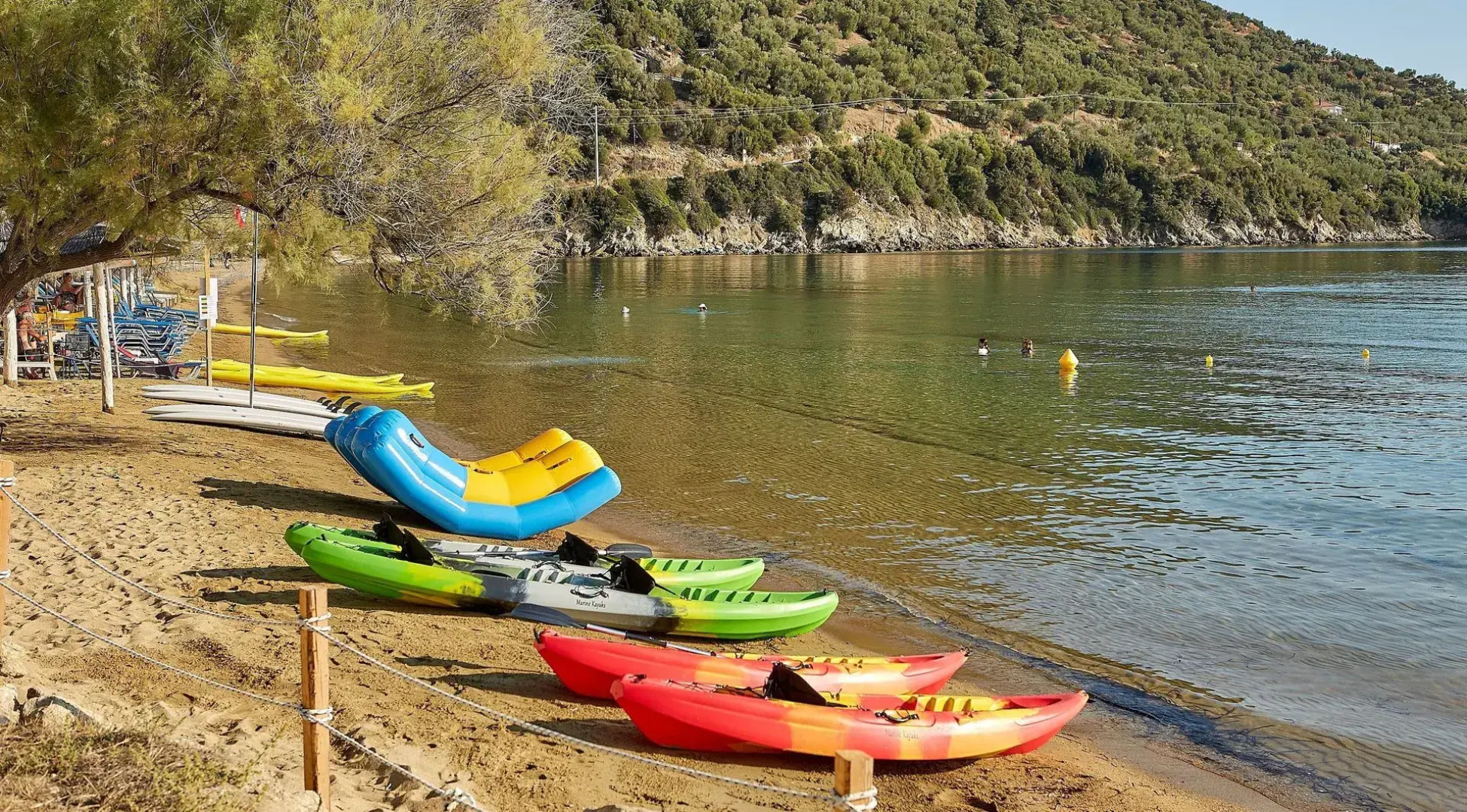 Olivia Sports and Sea