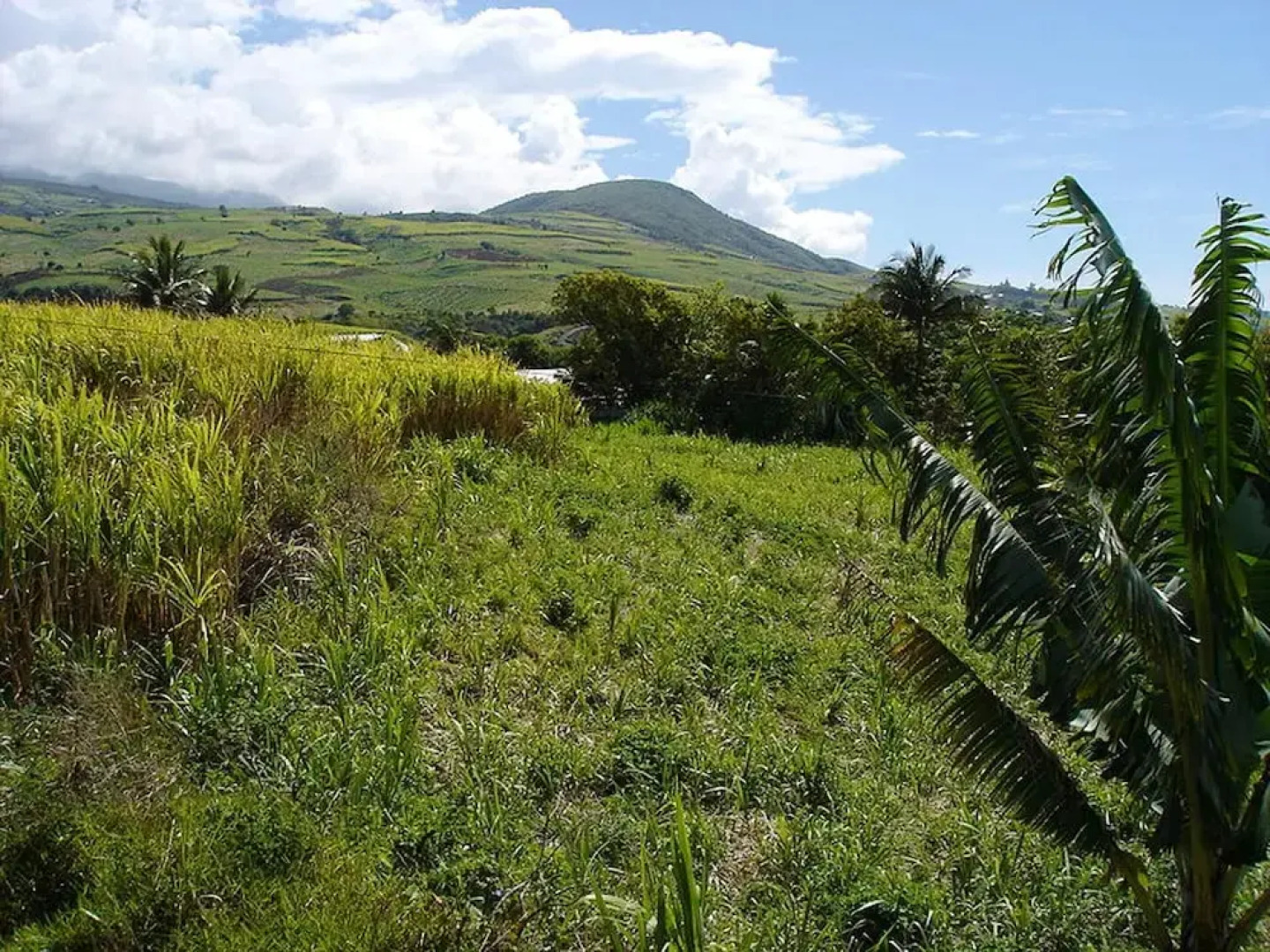 Apartment With one Bedroom in Saint Joseph, With Shared Pool, Enclosed Garden and Wifi