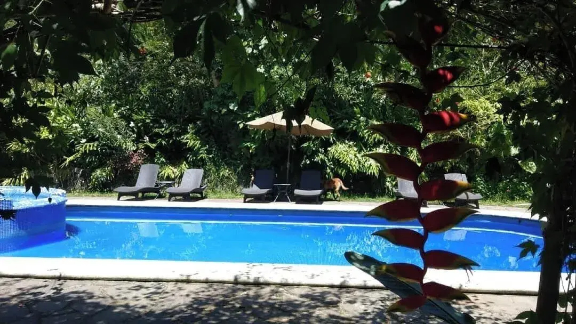 La Jicarita Eco Hotel