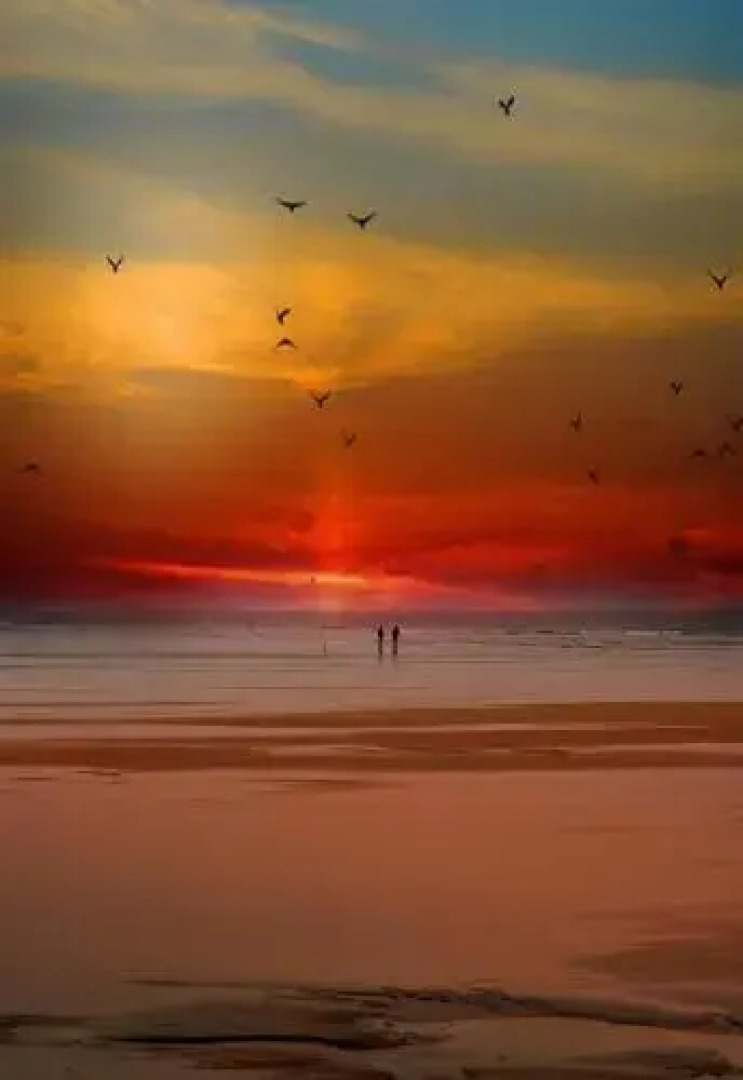 CotiLoft - Appartement de standing La Cotinière