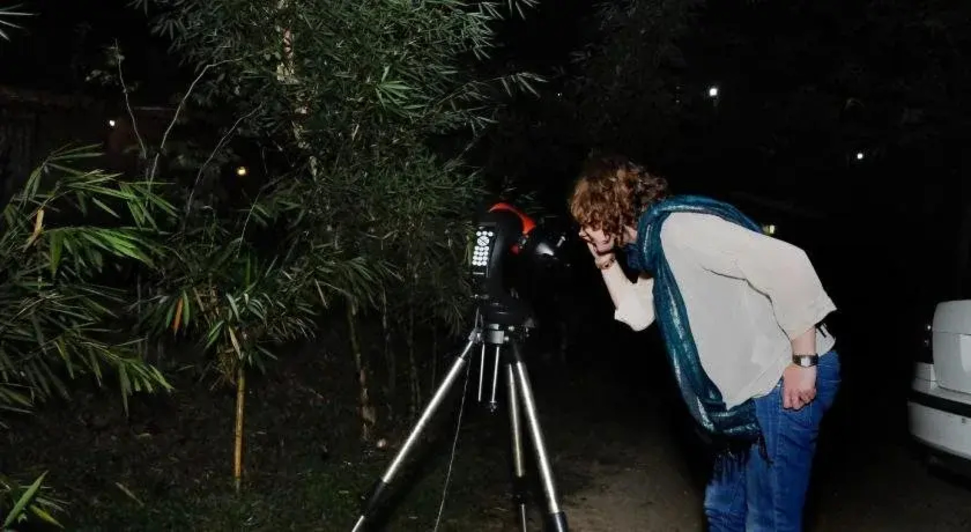 Pugmarks Jungle Resort