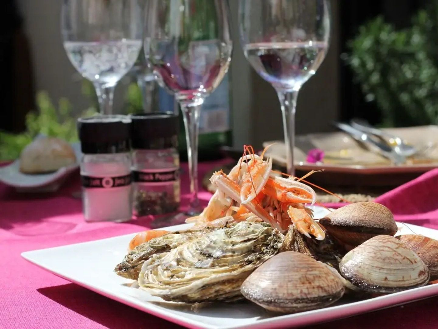 Villa Z - Valbonne - Modern Architect Villa