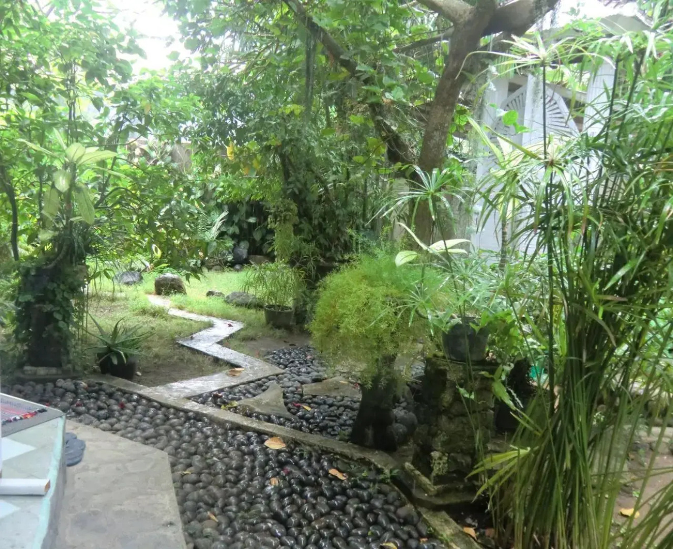 Shady Grove Healing Centre and Homestay