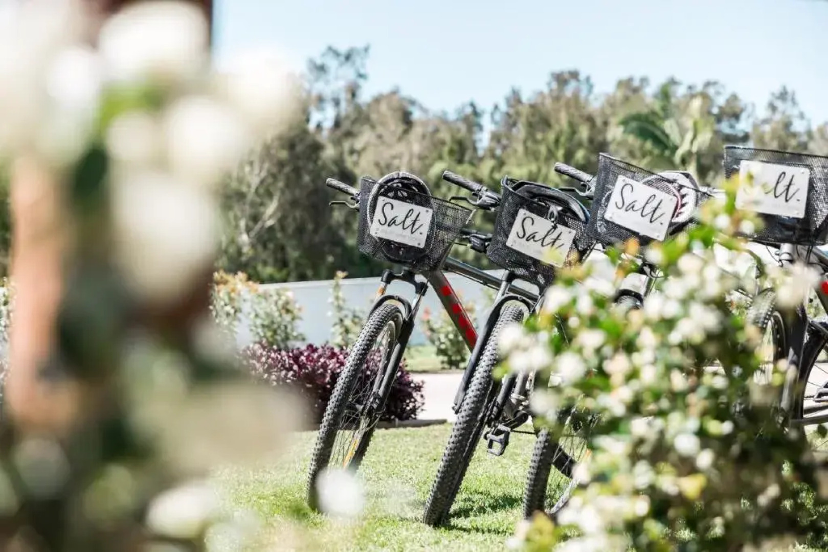 Salt @ South West Rocks