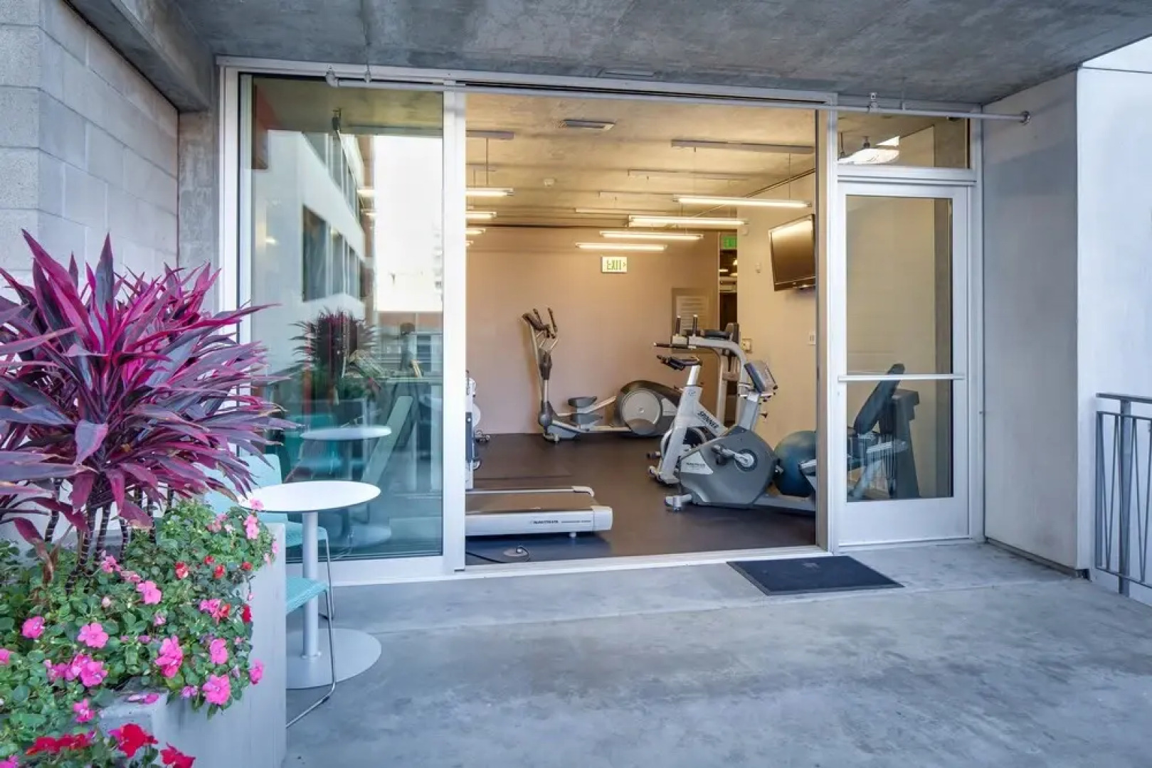 Stay Alfred on 6th Avenue