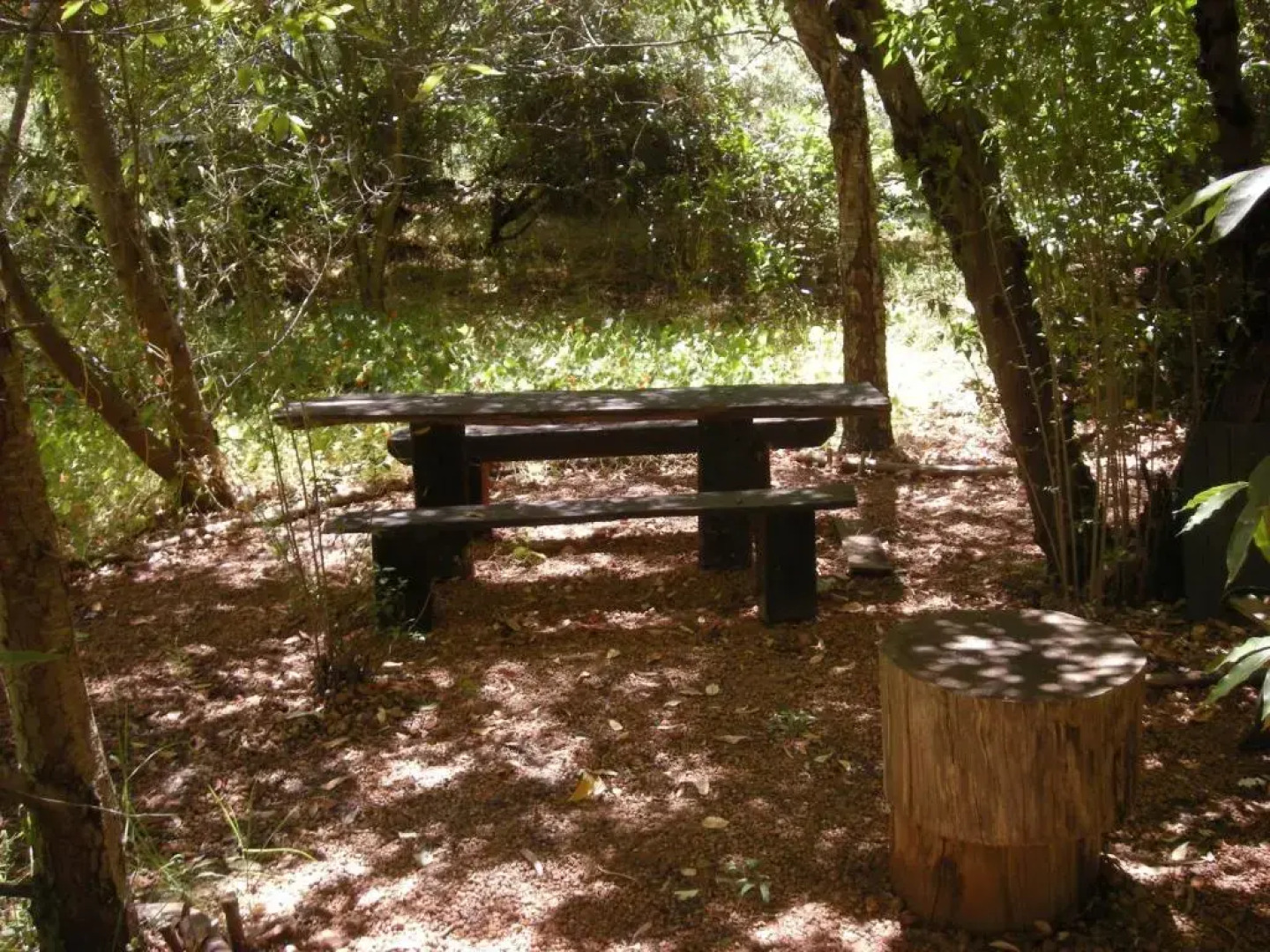 The Black Cockatoo Nannup