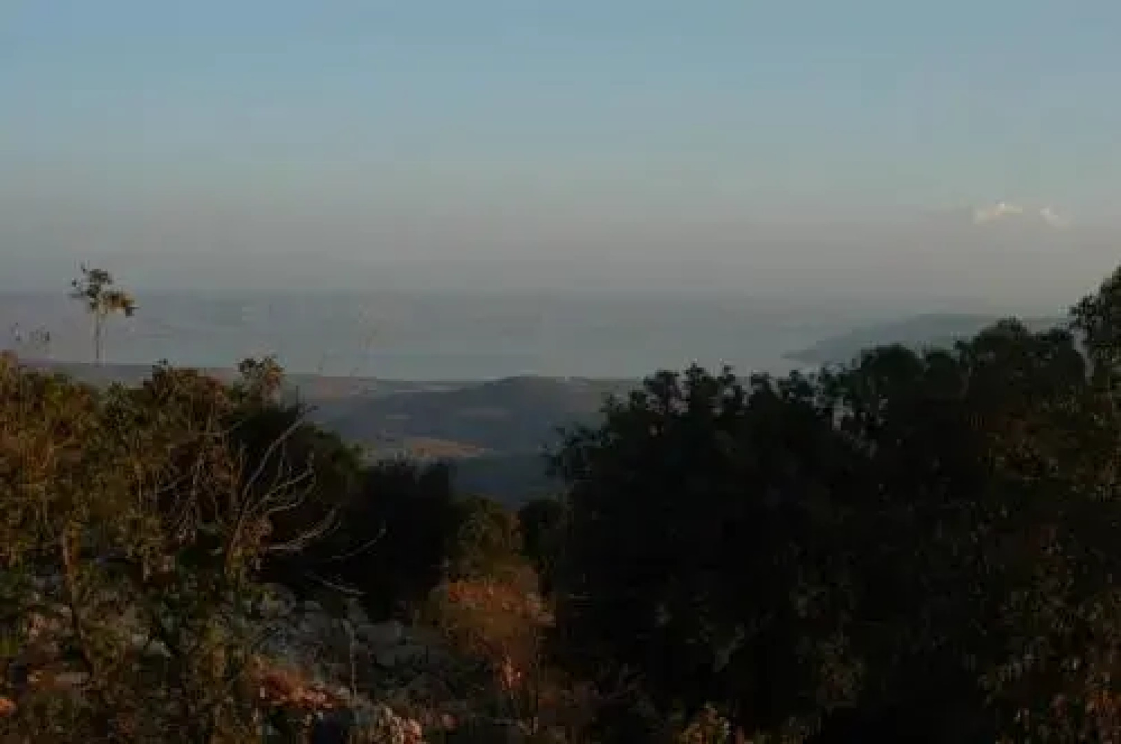 Red and White אדום לבן