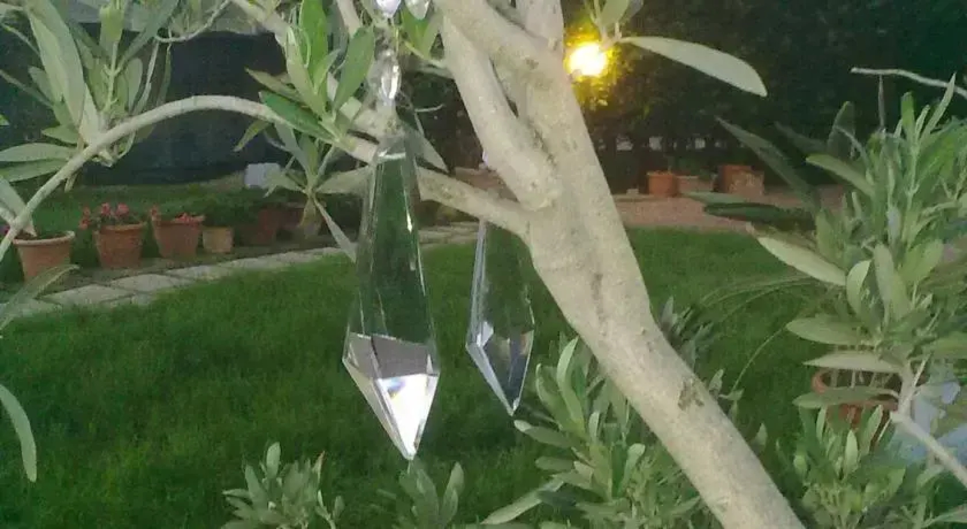 Romana Vecchia House