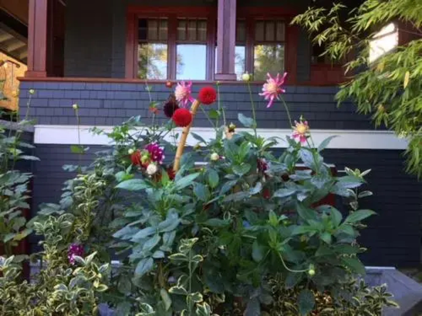 Beautiful, Quiet 3BR in Posh Kitsilano