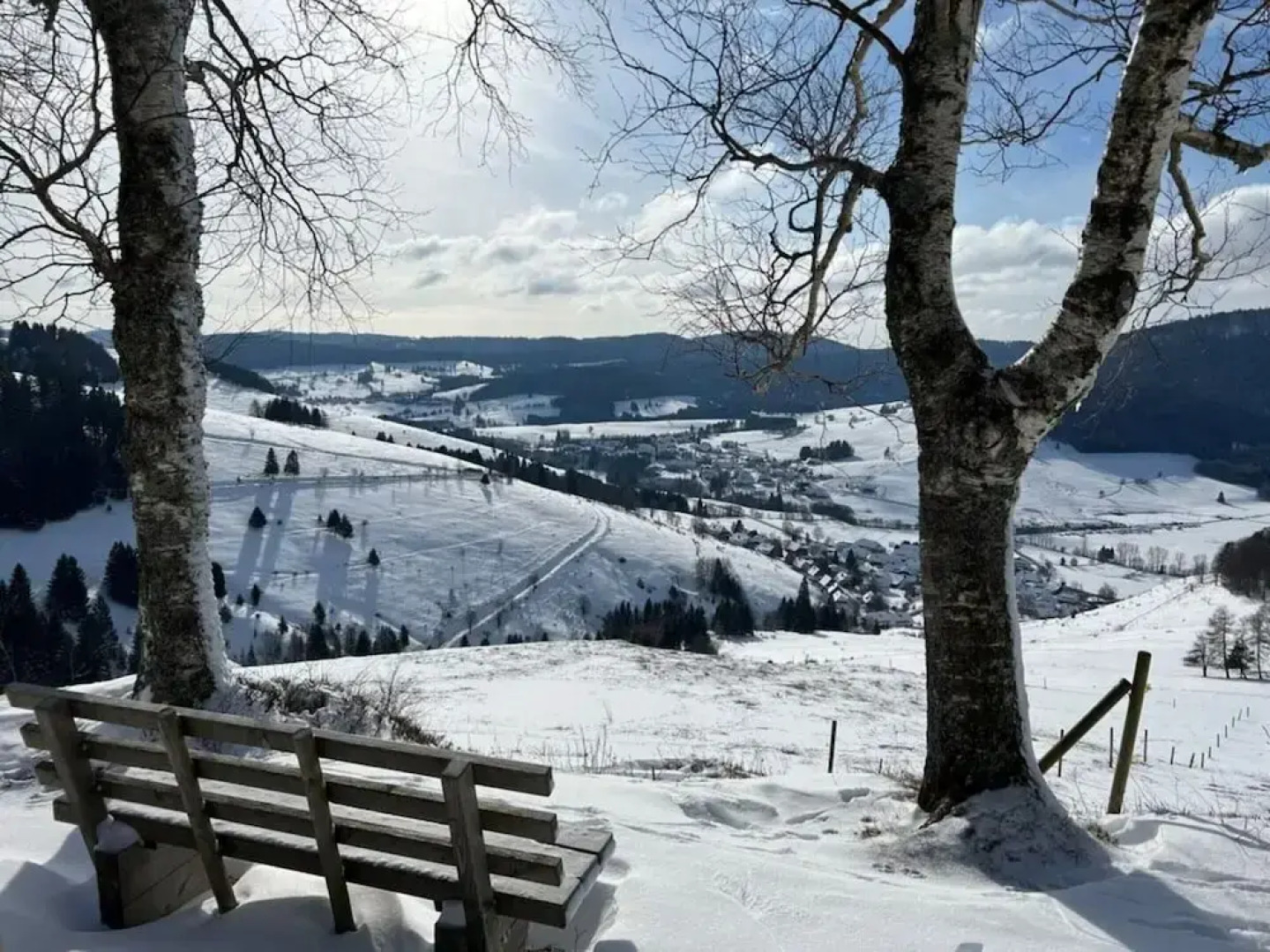 Savoir Vivre Modern Retreat