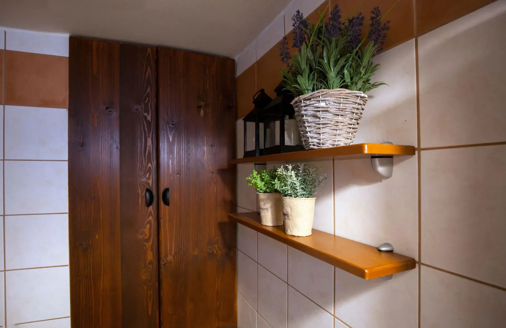 Dandy On The Hill - Amfikleia