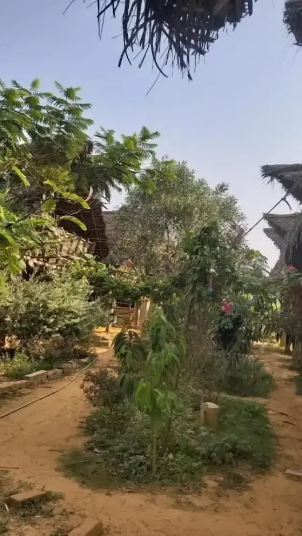 Time Travellers Hostel