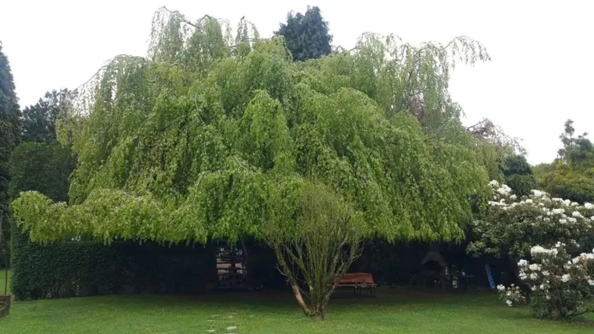 romagnoli family cottage