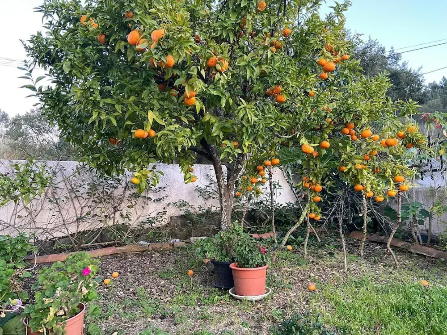 VISITAR BIOUCAS I - Casa Inteira Familiar e Grupo de Amigos