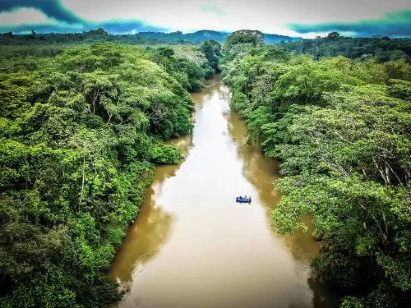 Tropical Paradise Bungalows