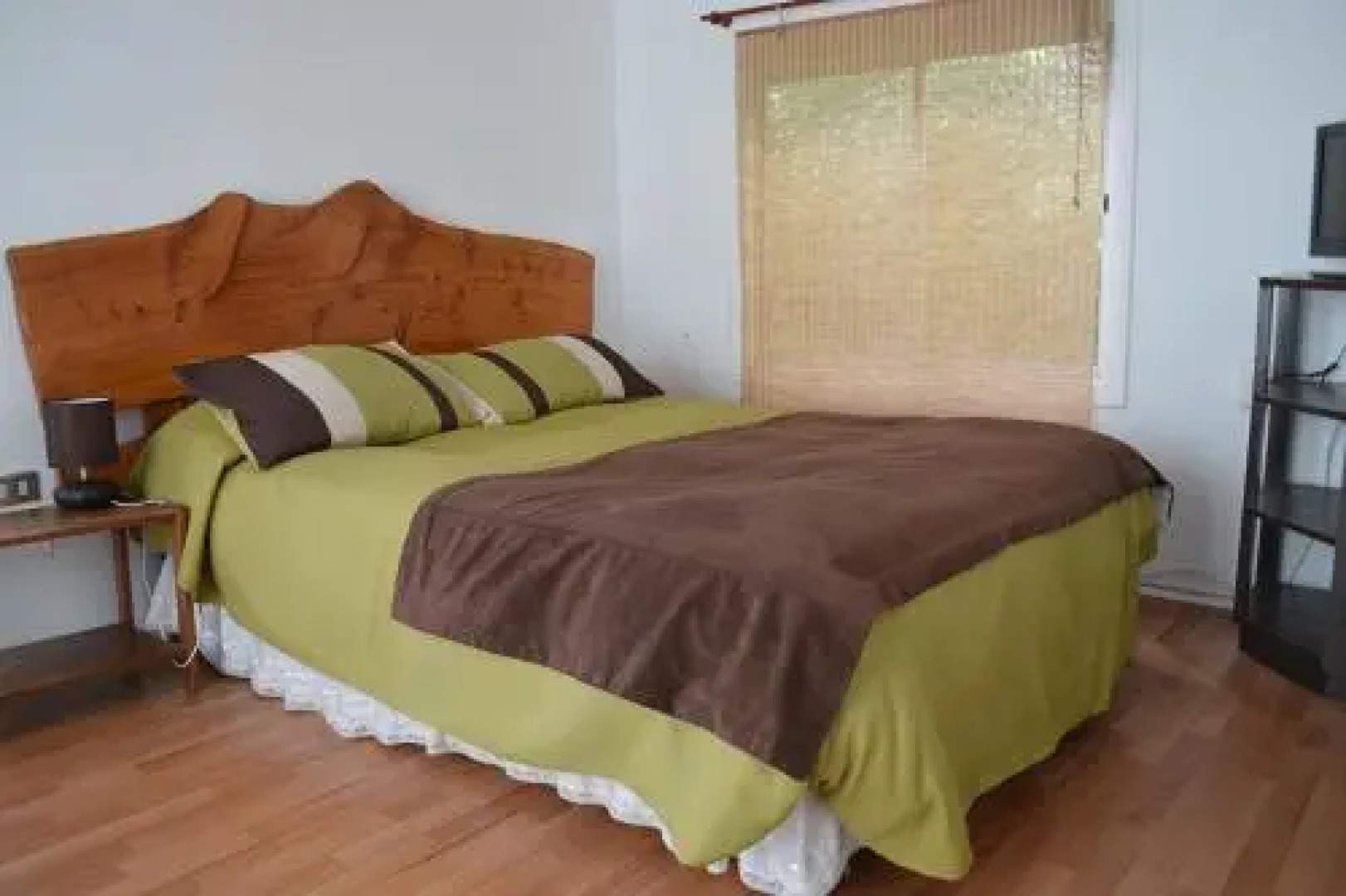 Pingüino En La Roca Cabañas